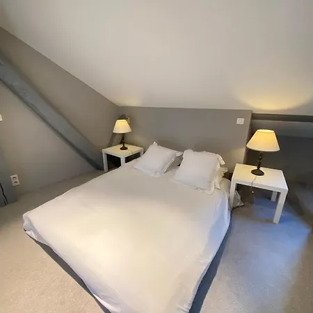 Apartmán L'ecrin De - Hypercentre - Garage Prive *